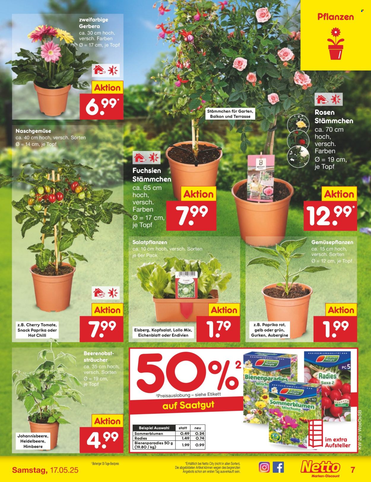Netto Marken-Discount Prospekte  - 12.05.2025 - 17.05.2025. Seite 9