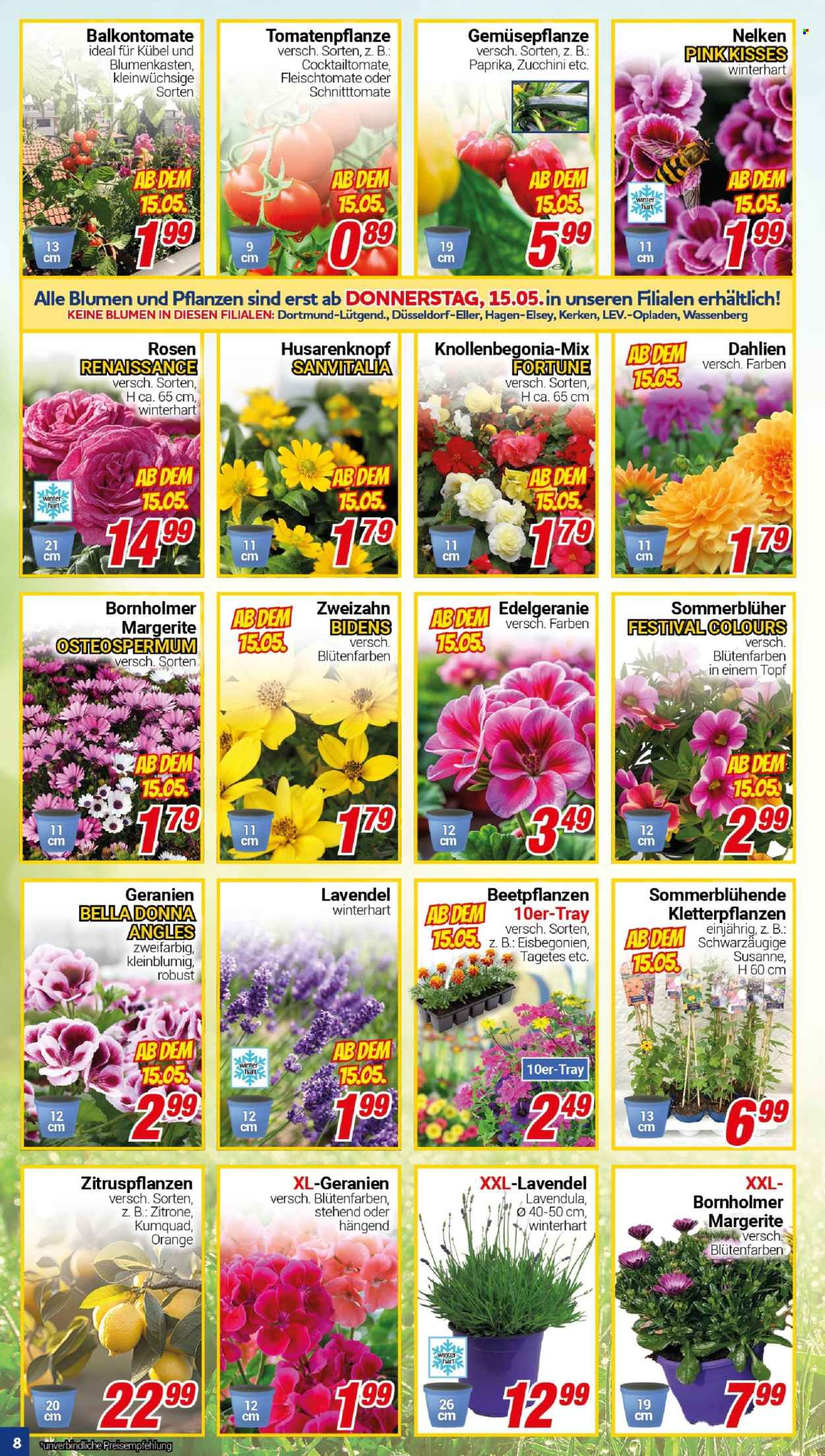 CENTERSHOP Prospekte  - 12.05.2025 - 17.05.2025. Seite 8