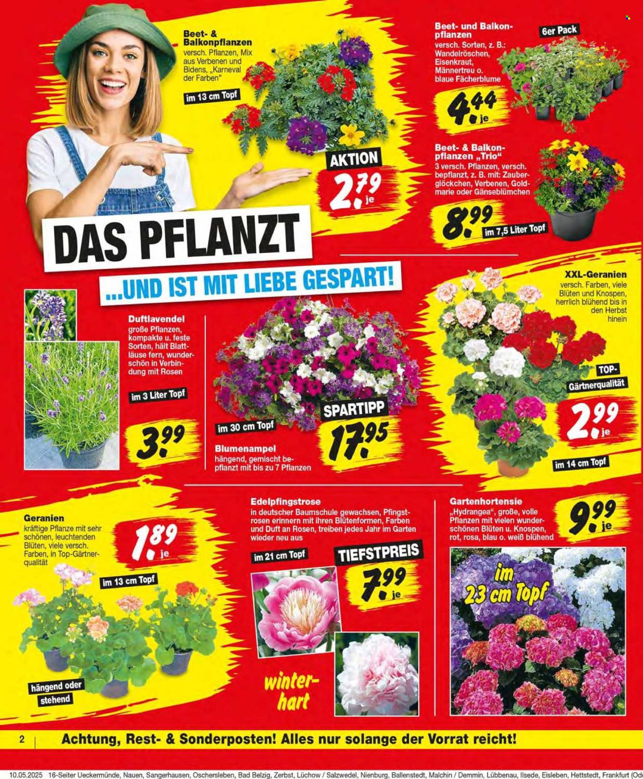 Repo Prospekte  - 12.05.2025 - 17.05.2025. Seite 2