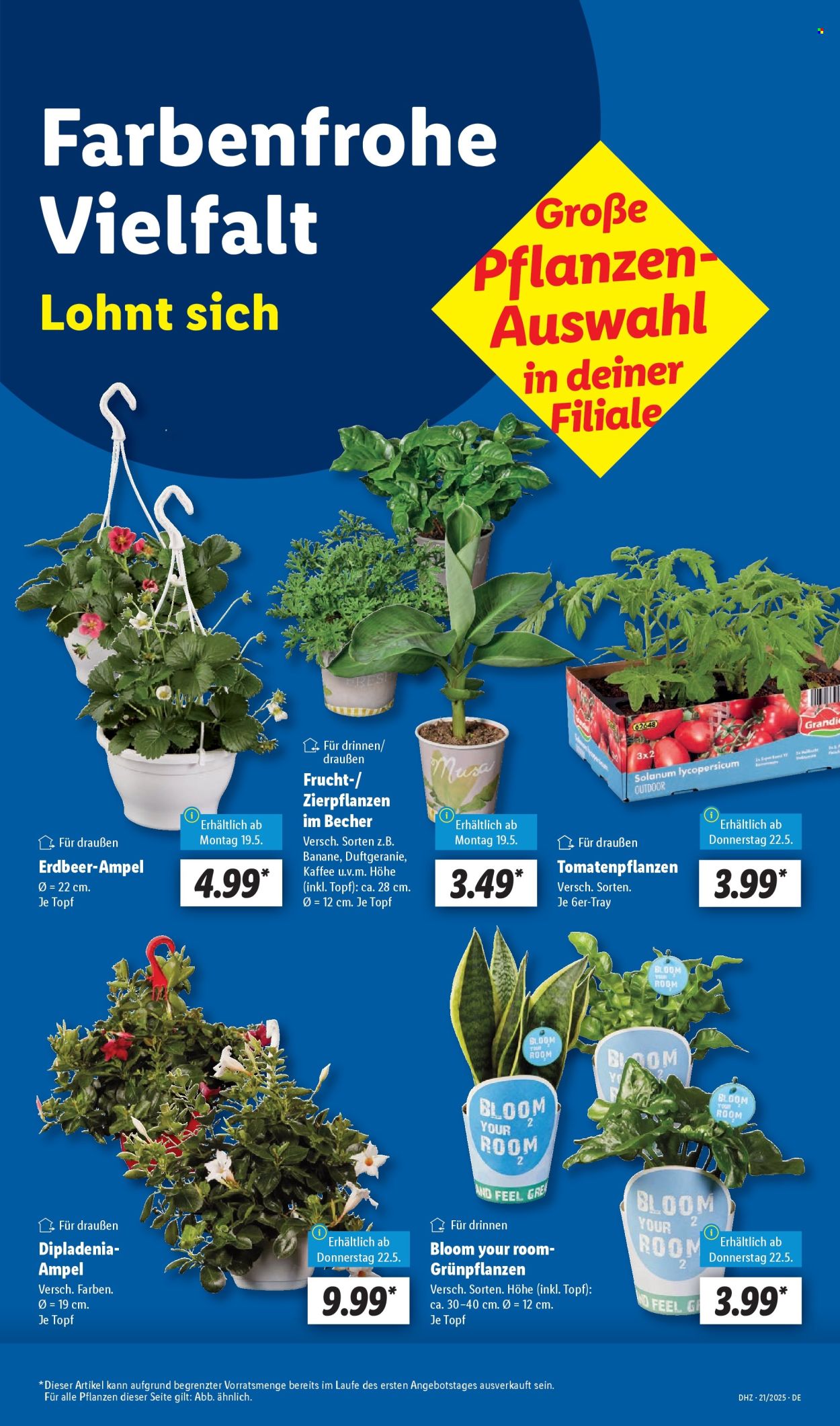 Lidl Prospekte  - 19.05.2025 - 24.05.2025. Seite 5