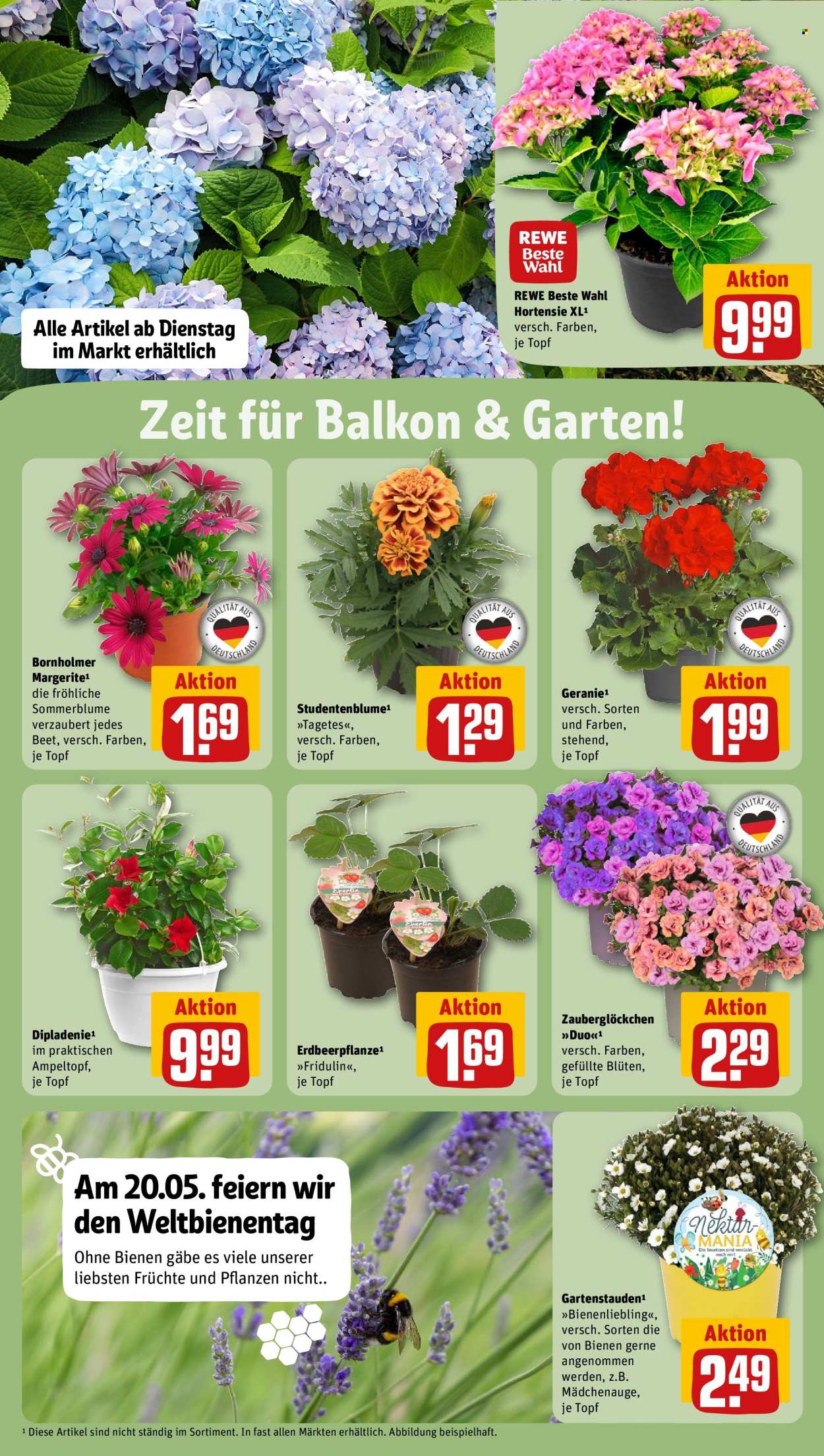 REWE Prospekte  - 19.05.2025 - 25.05.2025. Seite 30