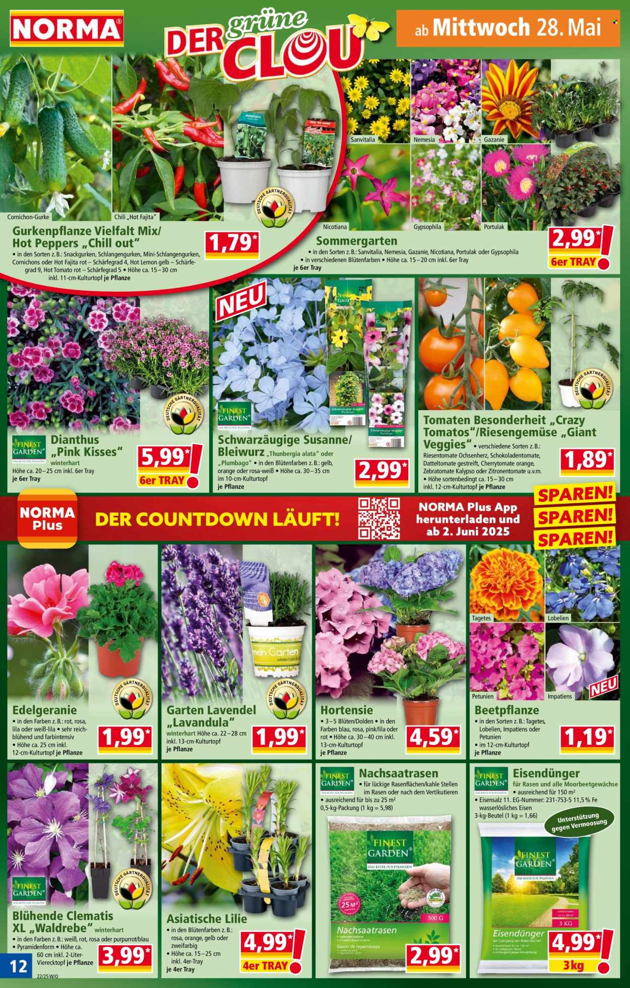 Norma Prospekte  - 26.05.2025 - 1.06.2025. Seite 12