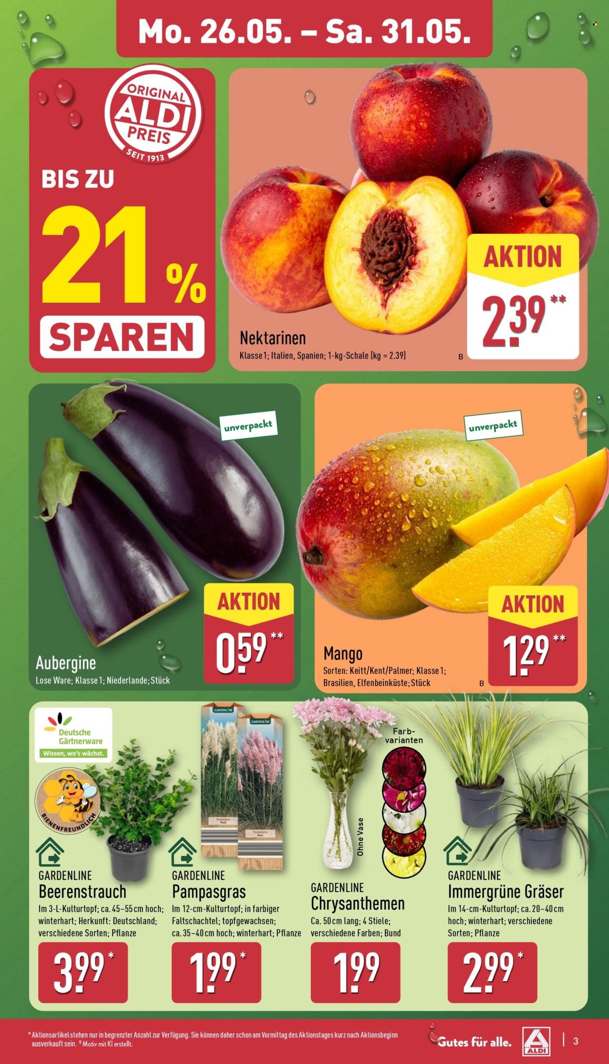 ALDI Nord Prospekte  - 26.05.2025 - 31.05.2025. Seite 3