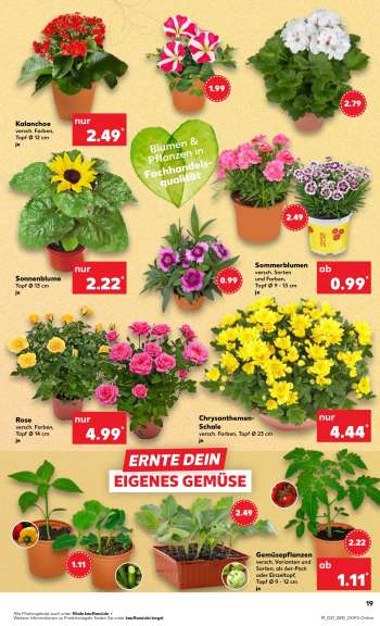 thumbnail - Sonnenblume*