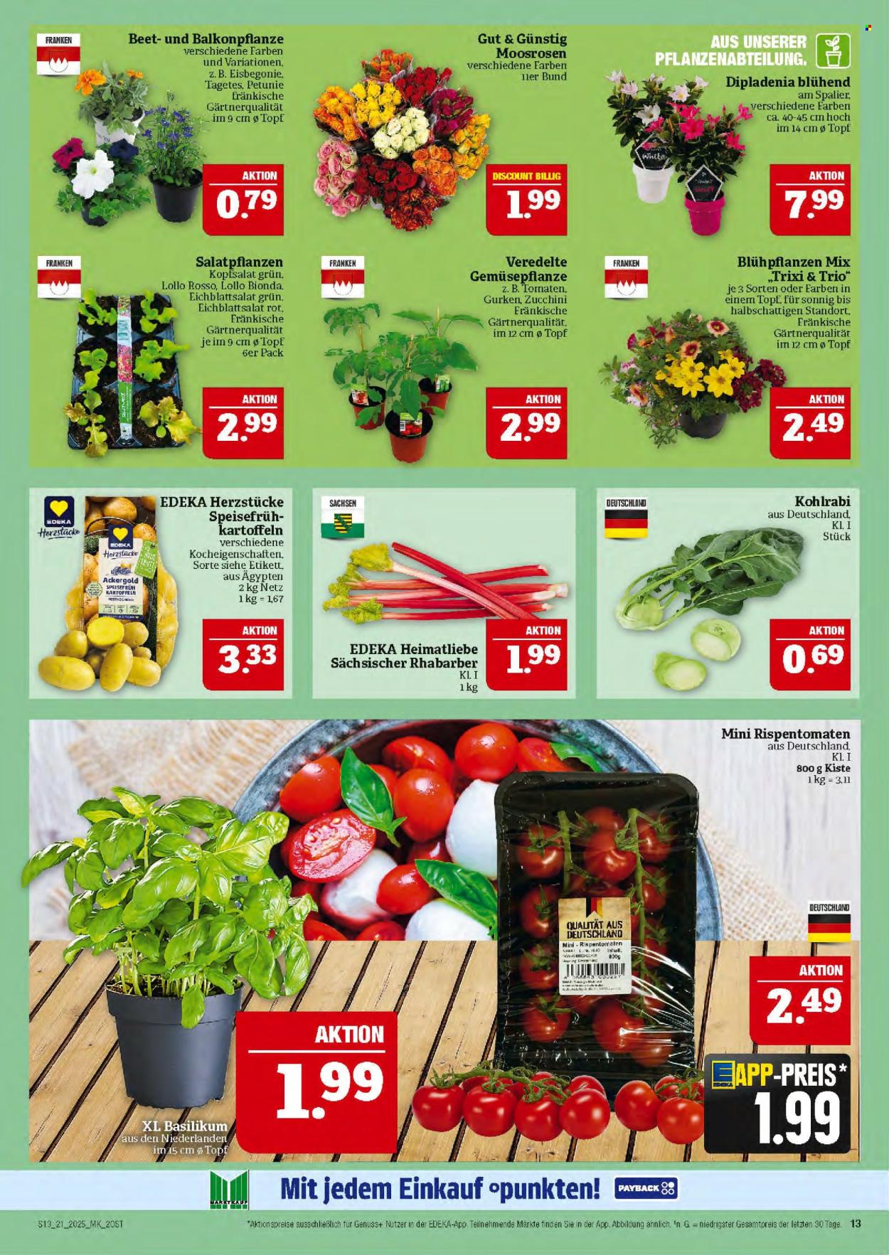 Marktkauf Prospekte  - 19.05.2025 - 24.05.2025. Seite 13