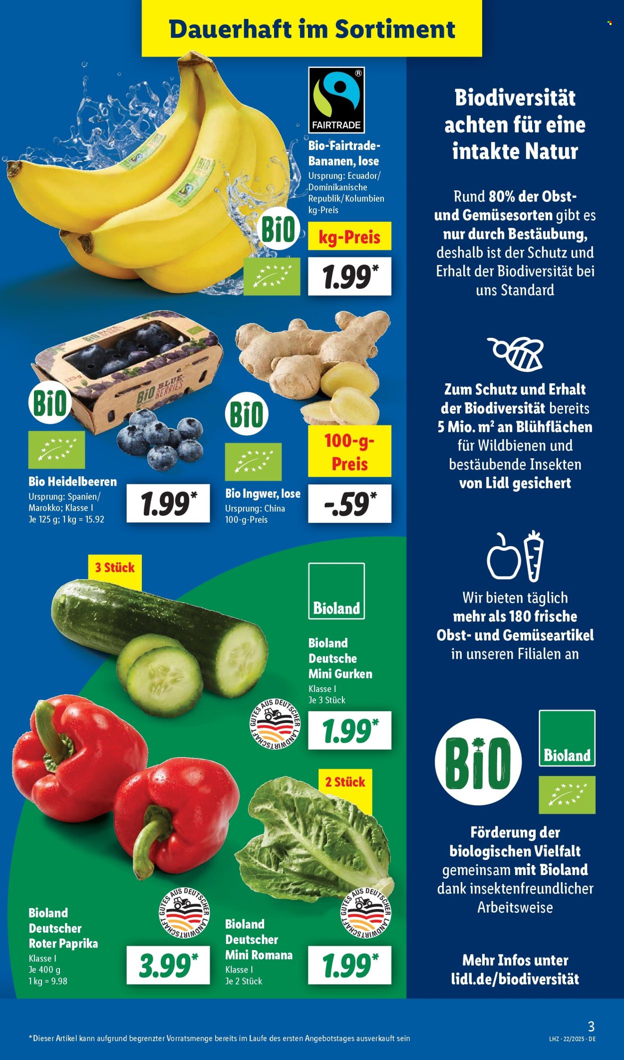 Lidl Prospekte  - 26.05.2025 - 31.05.2025. Seite 3