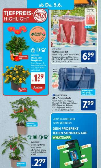 thumbnail - GARDENLINE Staude oder Beetpflanze