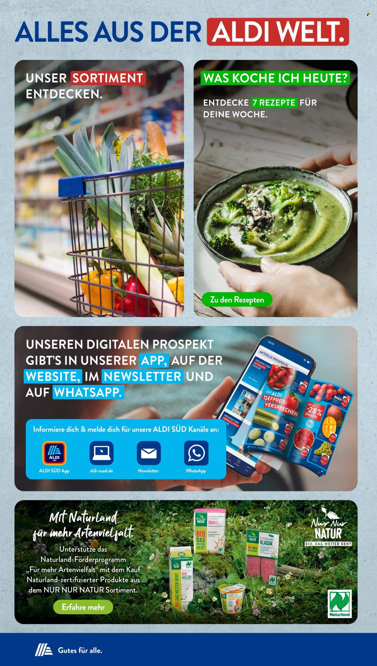 ALDI SÜD Prospekte  - 2.06.2025 - 7.06.2025. Seite 43