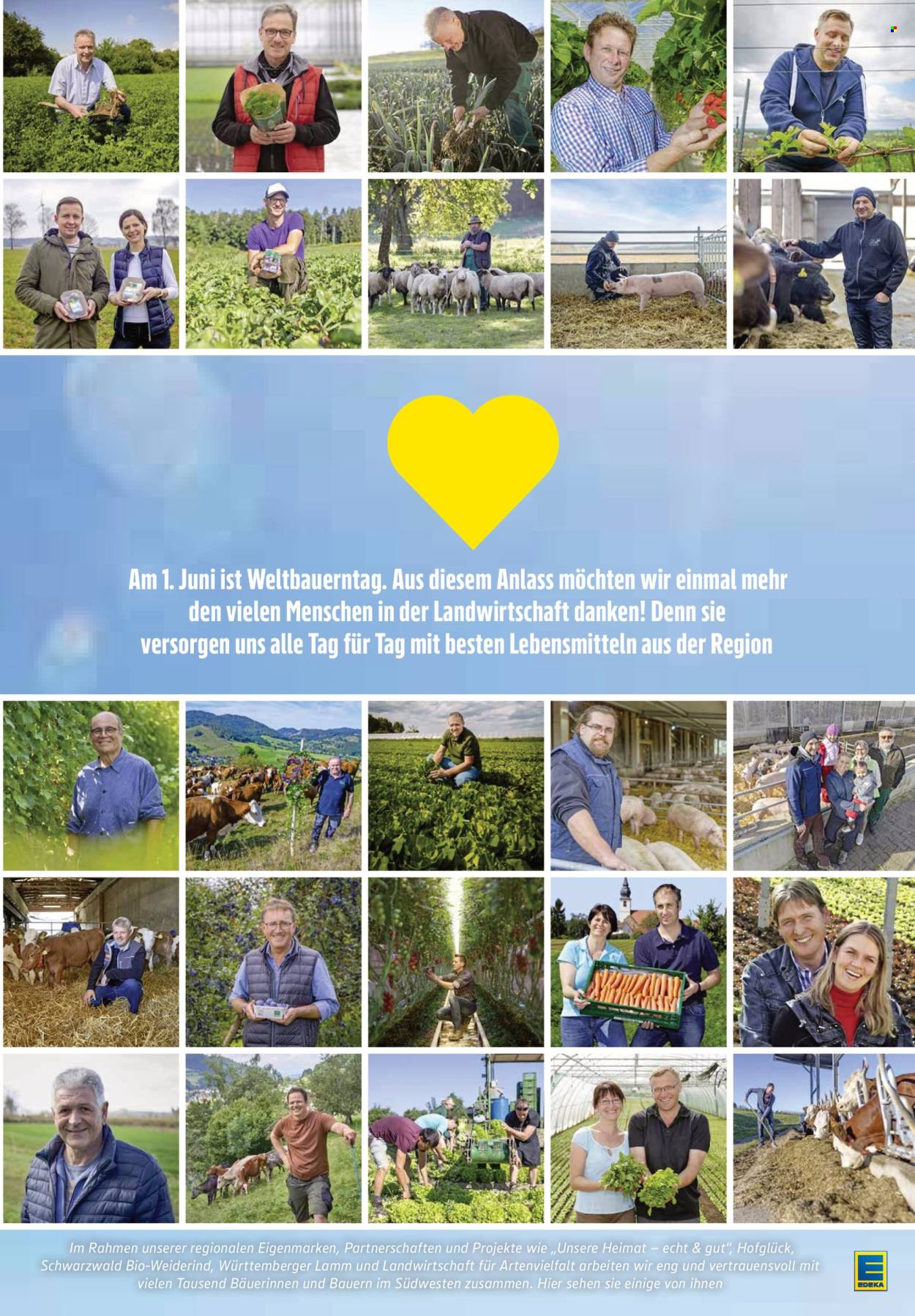 Edeka Prospekte  - 26.05.2025 - 31.05.2025. Seite 9