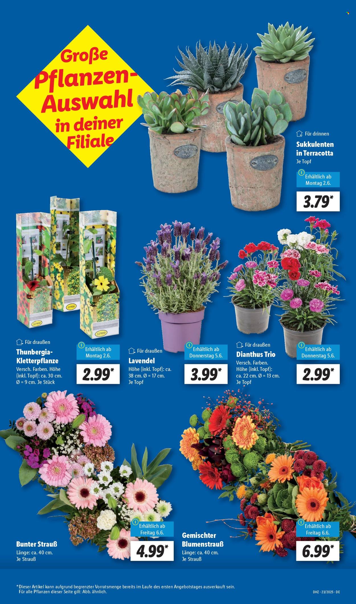 Lidl Prospekte  - 2.06.2025 - 7.06.2025. Seite 7