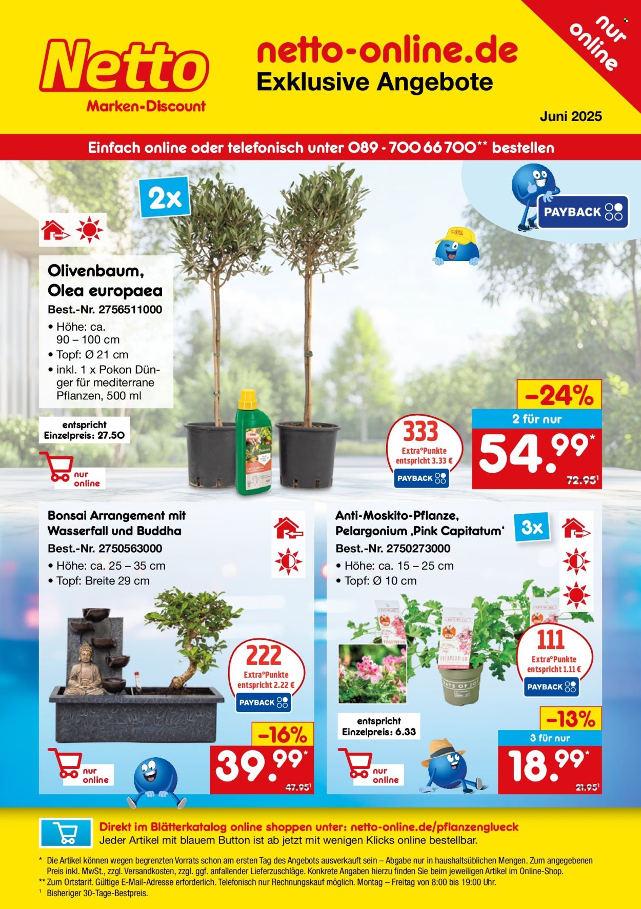 Netto Marken-Discount Prospekte  - 29.05.2025 - 30.06.2025. Seite 1