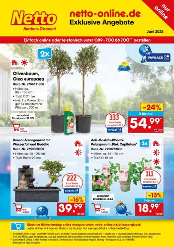Prospekte Netto Marken-Discount - 29.05.2025 - 30.06.2025.