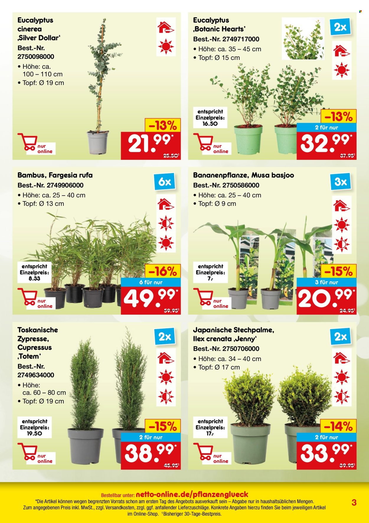 Netto Marken-Discount Prospekte  - 29.05.2025 - 30.06.2025. Seite 3