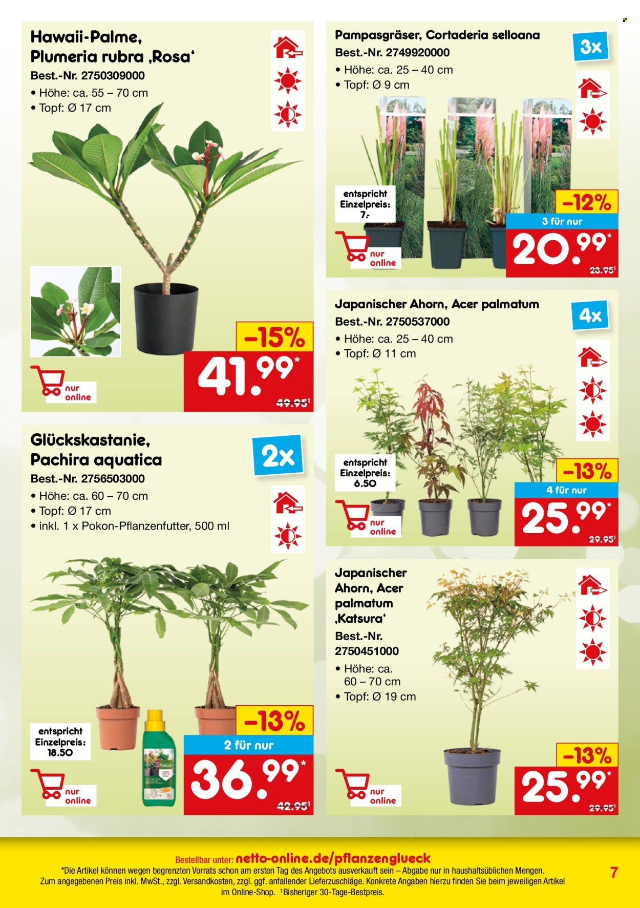 Netto Marken-Discount Prospekte  - 29.05.2025 - 30.06.2025. Seite 7