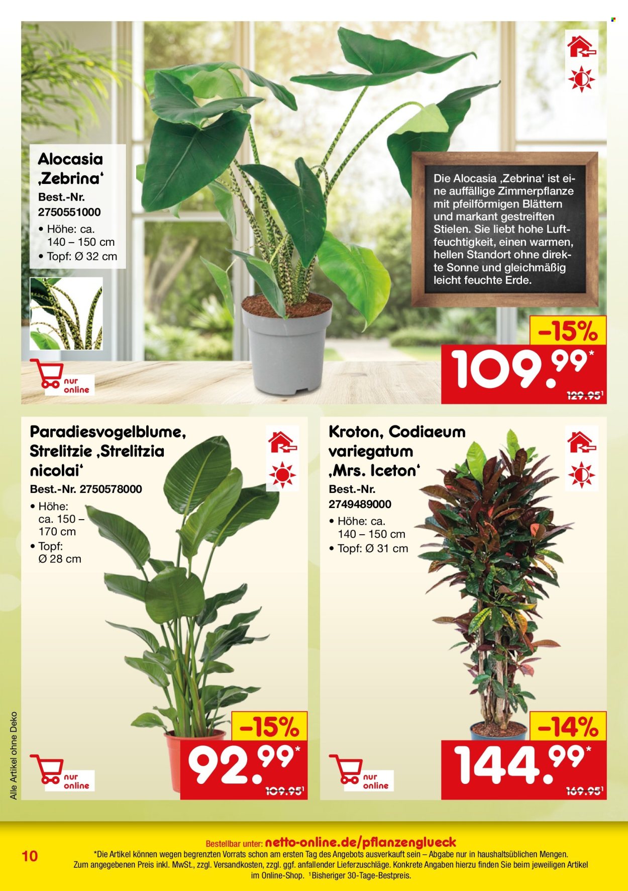 Netto Marken-Discount Prospekte  - 29.05.2025 - 30.06.2025. Seite 10