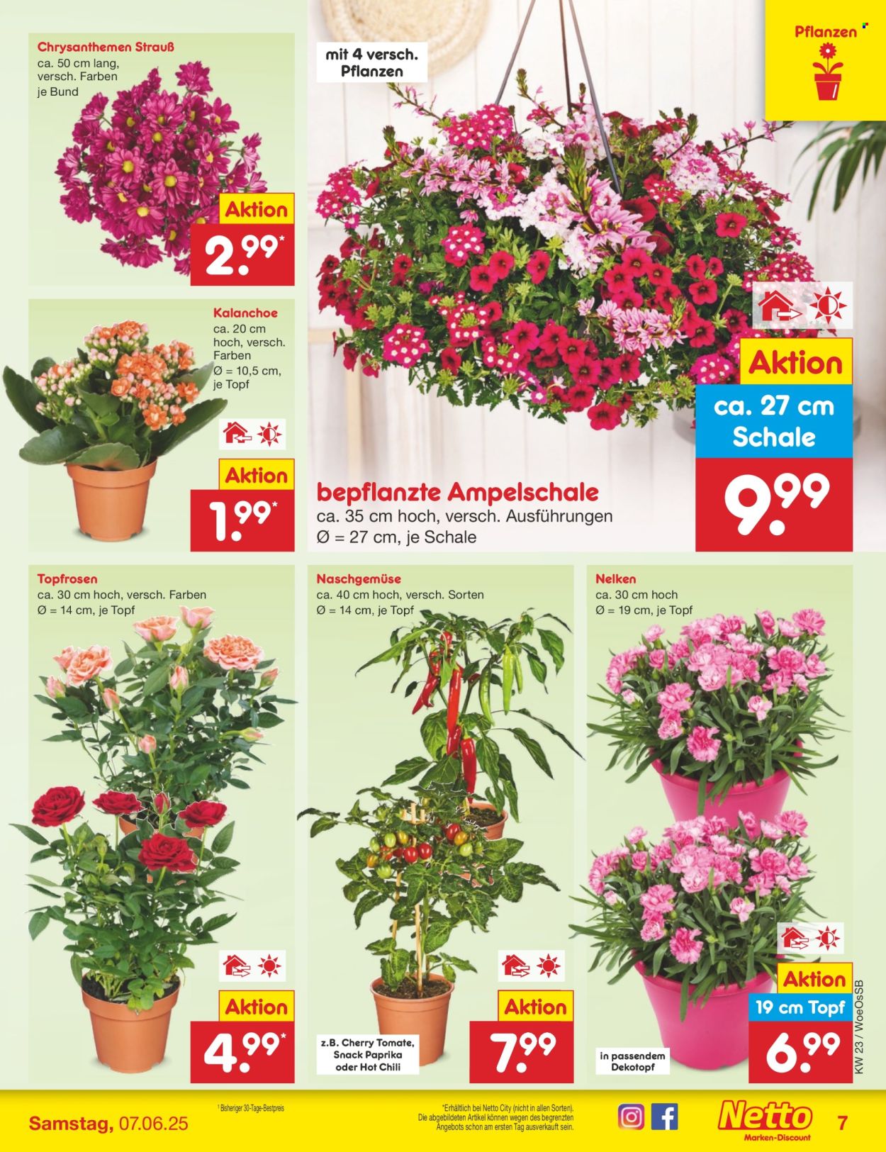 Netto Marken-Discount Prospekte  - 2.06.2025 - 7.06.2025. Seite 7
