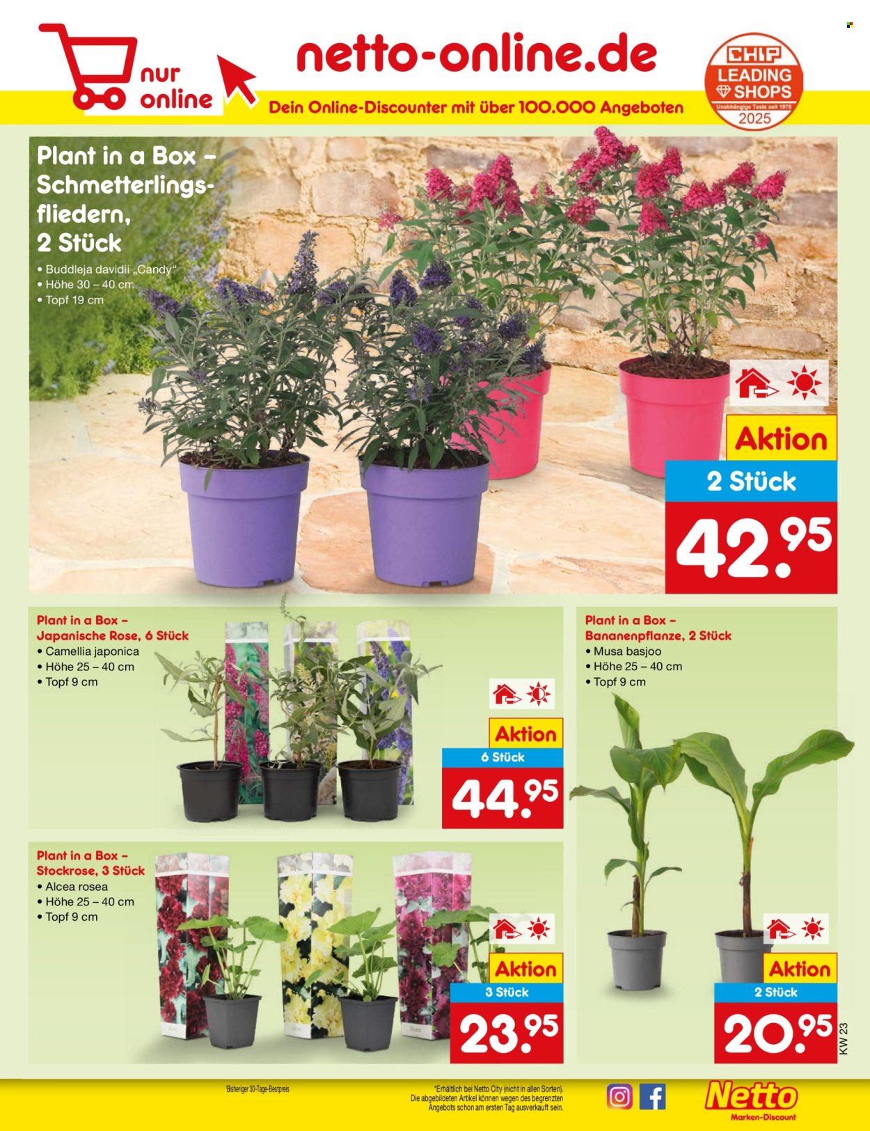 Netto Marken-Discount Prospekte  - 2.06.2025 - 7.06.2025. Seite 9