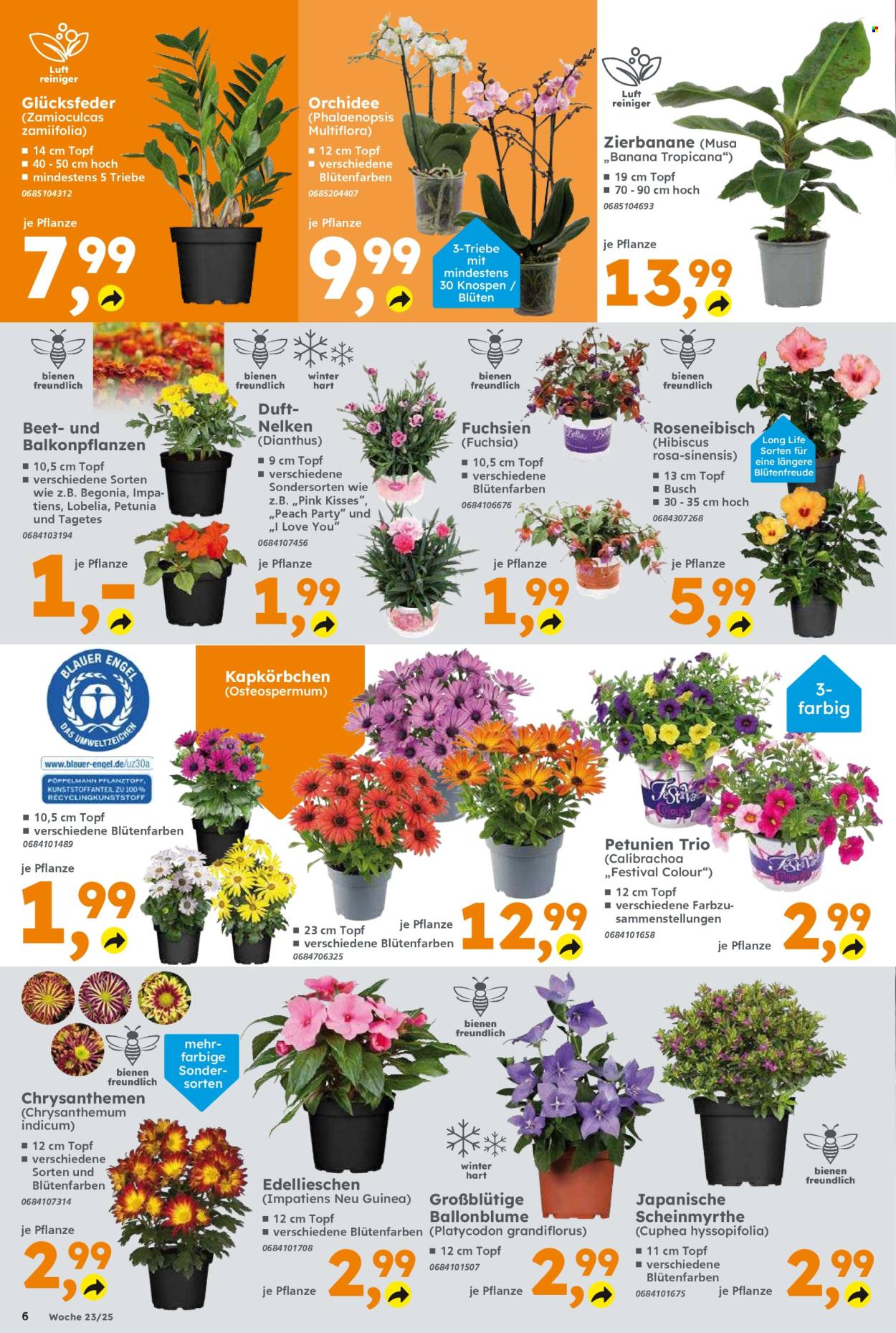 Globus Baumarkt Prospekte  - 2.06.2025 - 7.06.2025. Seite 6