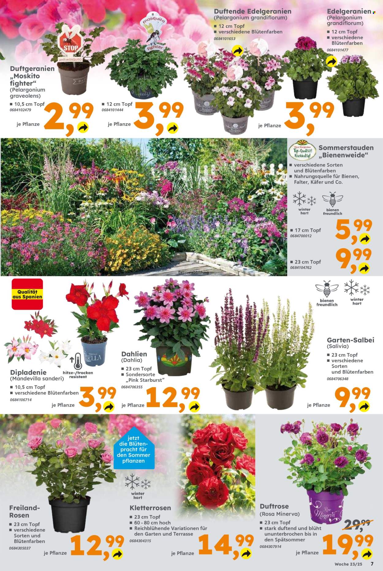 Globus Baumarkt Prospekte  - 2.06.2025 - 7.06.2025. Seite 7