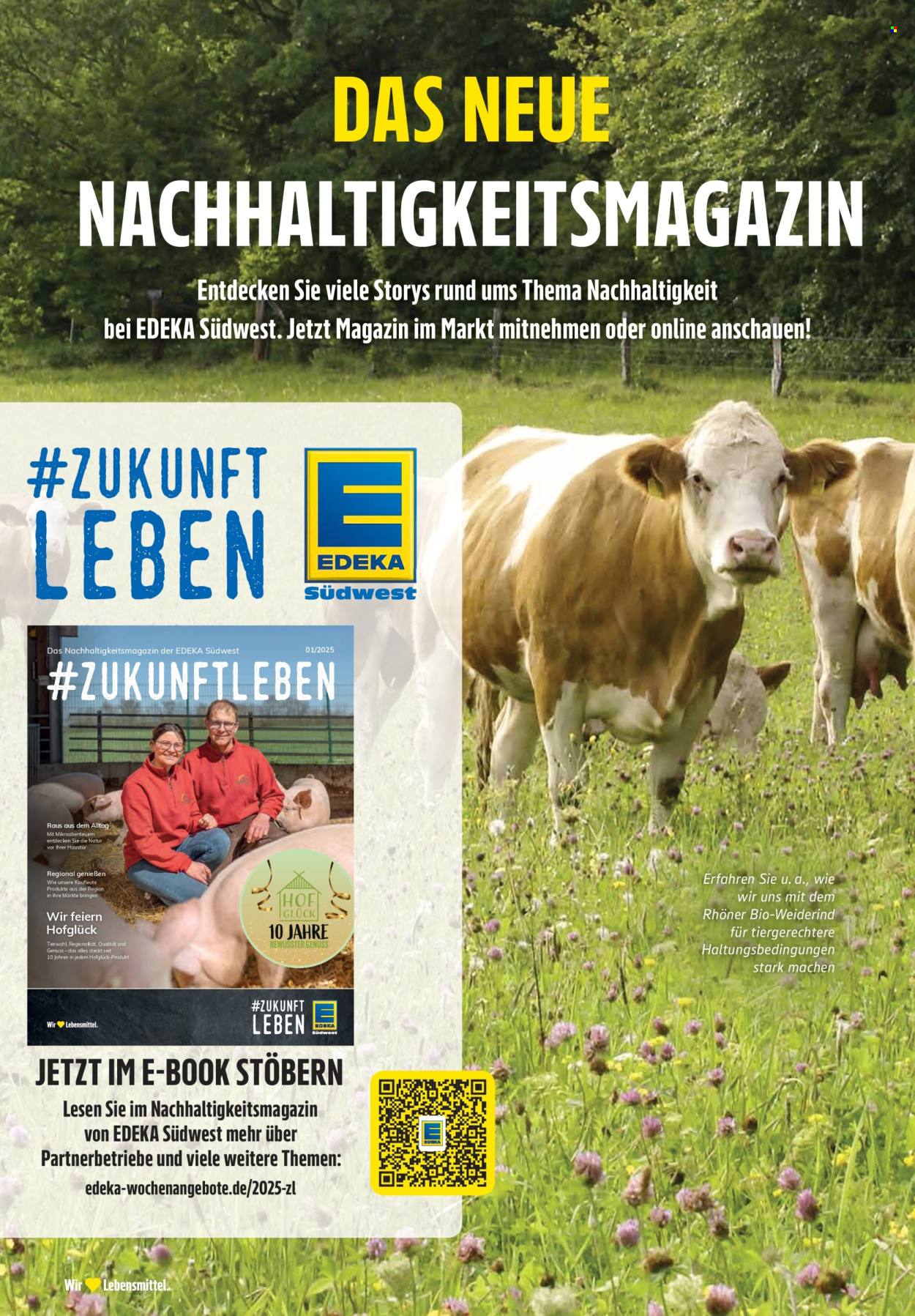 Edeka Prospekte  - 2.06.2025 - 7.06.2025. Seite 38