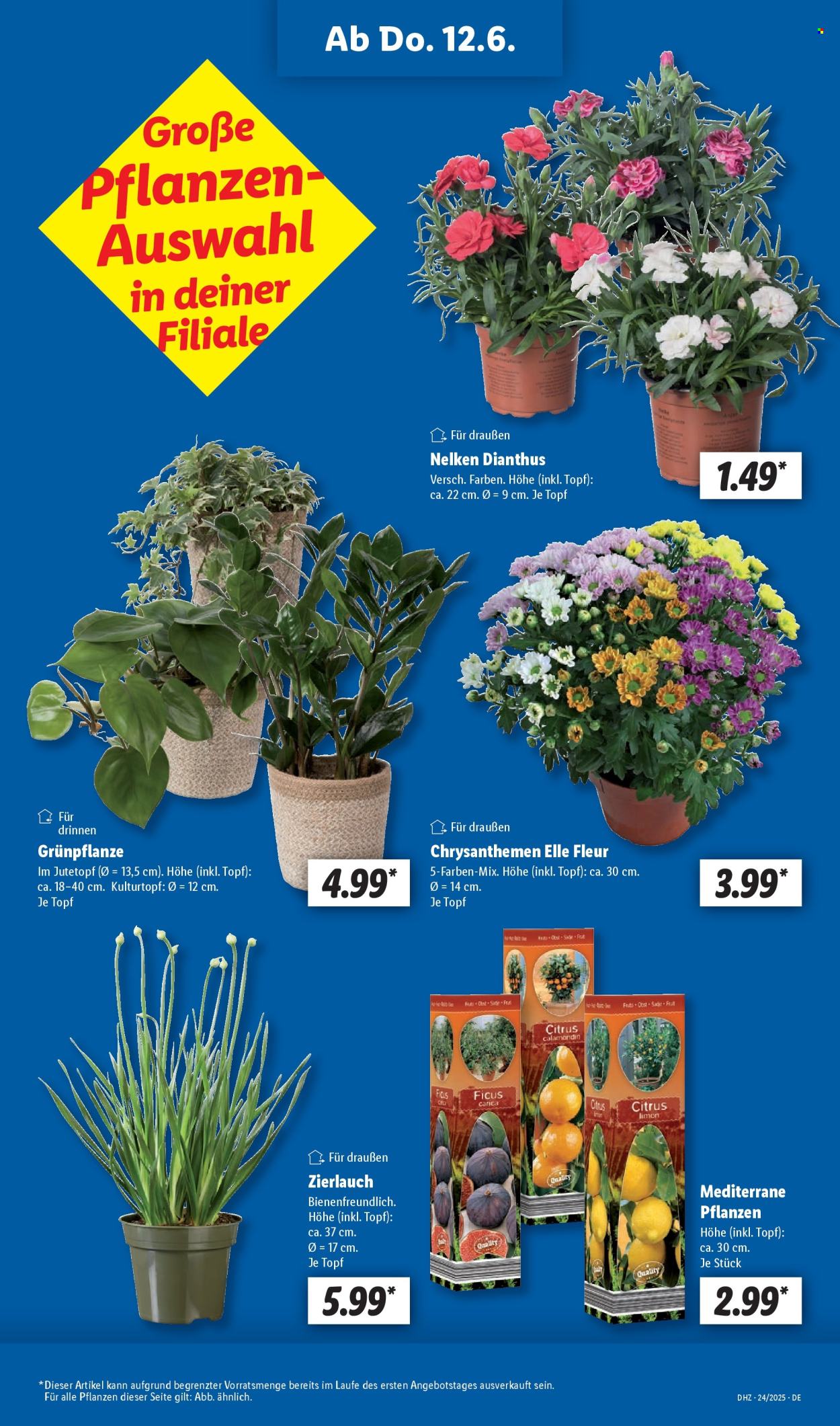 Lidl Prospekte  - 10.06.2025 - 14.06.2025. Seite 9