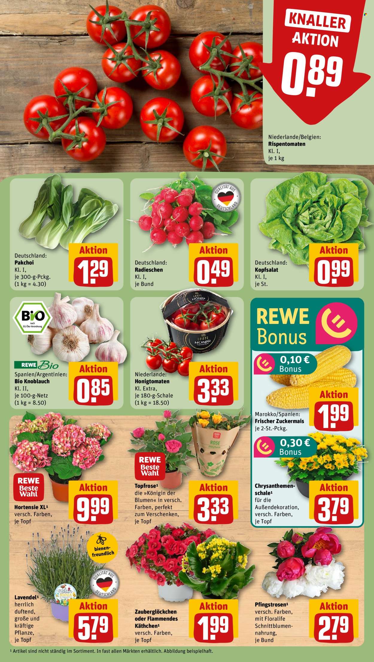 REWE Prospekte  - 10.06.2025 - 15.06.2025. Seite 7