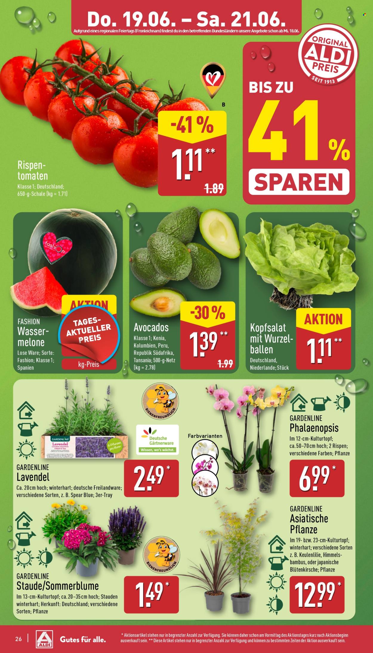 ALDI Nord Prospekte  - 16.06.2025 - 21.06.2025. Seite 26