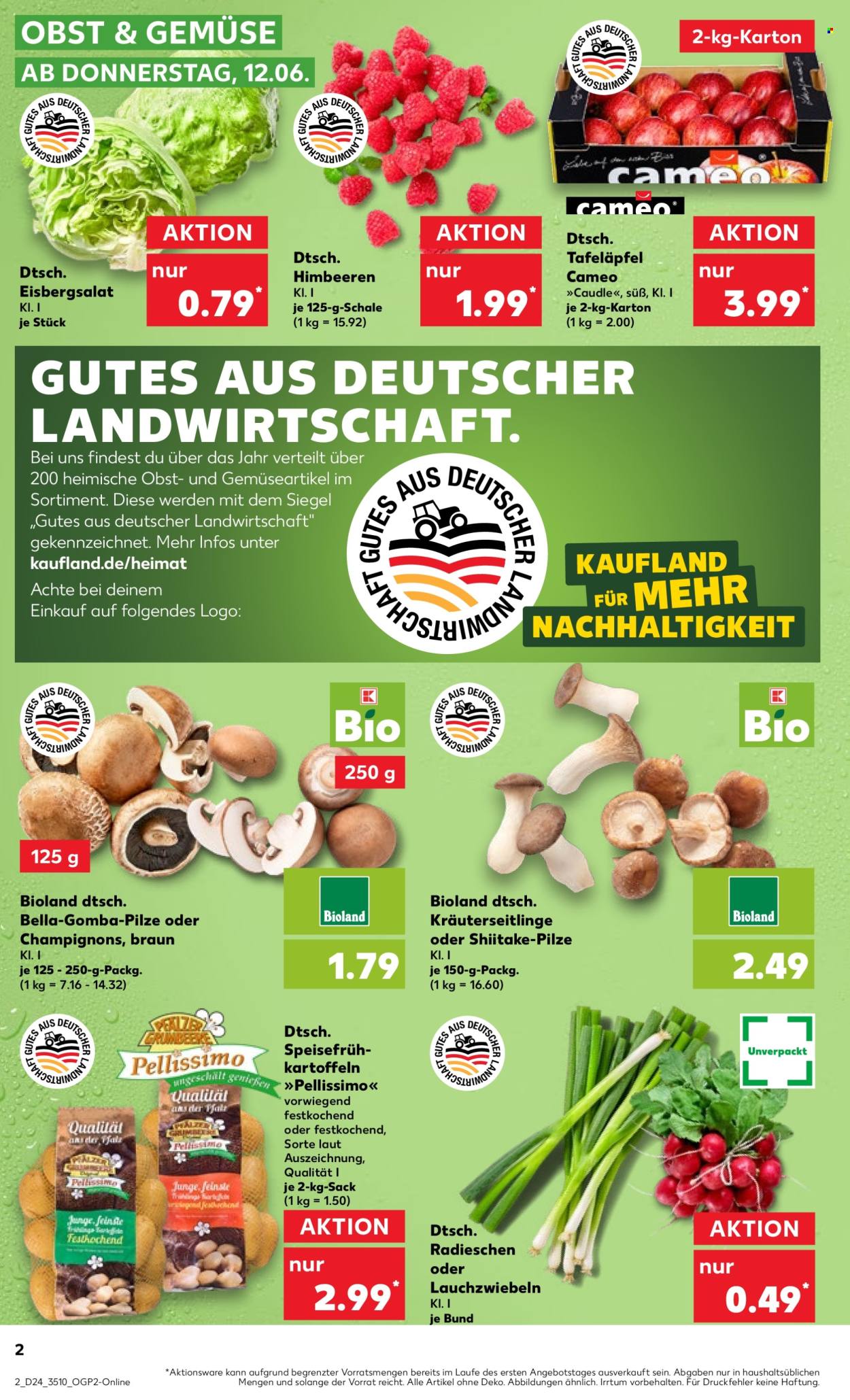 Kaufland Prospekte  - 12.06.2025 - 18.06.2025. Seite 2