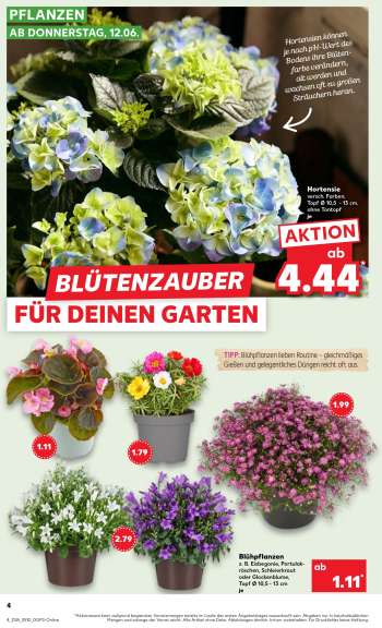 thumbnail - Blühpflanzen