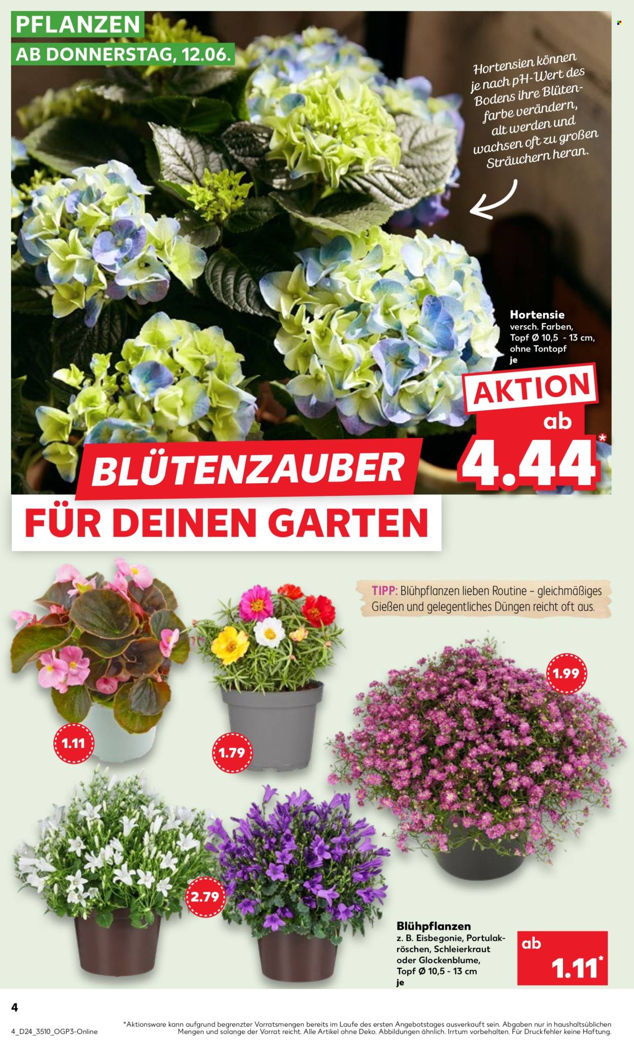 Kaufland Prospekte  - 12.06.2025 - 18.06.2025. Seite 4