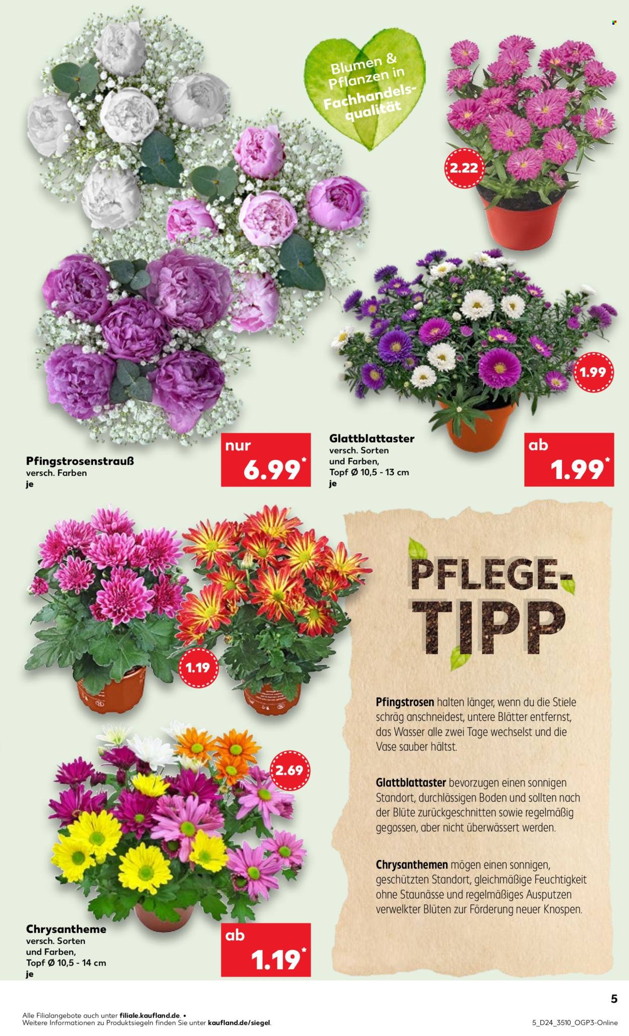 Kaufland Prospekte  - 12.06.2025 - 18.06.2025. Seite 5
