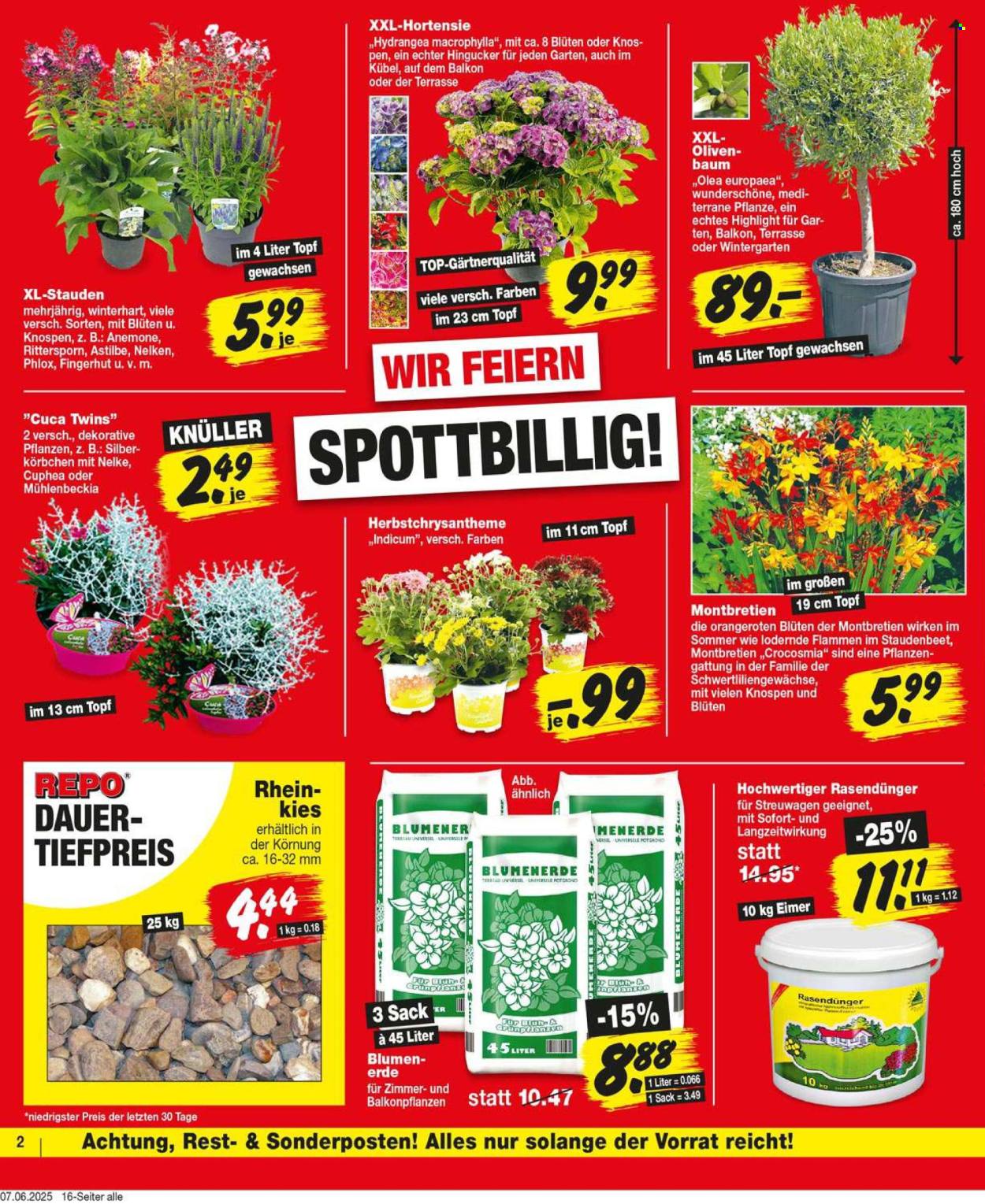Repo Prospekte  - 10.06.2025 - 14.06.2025. Seite 2
