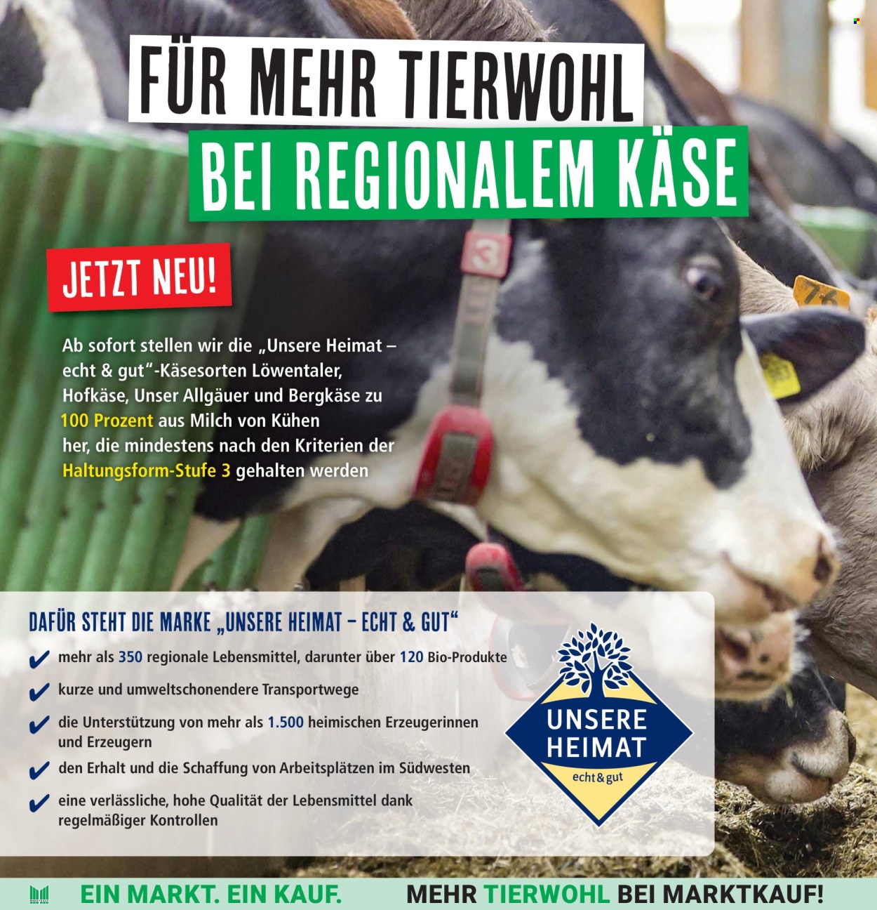 Marktkauf Prospekte  - 10.06.2025 - 14.06.2025. Seite 10