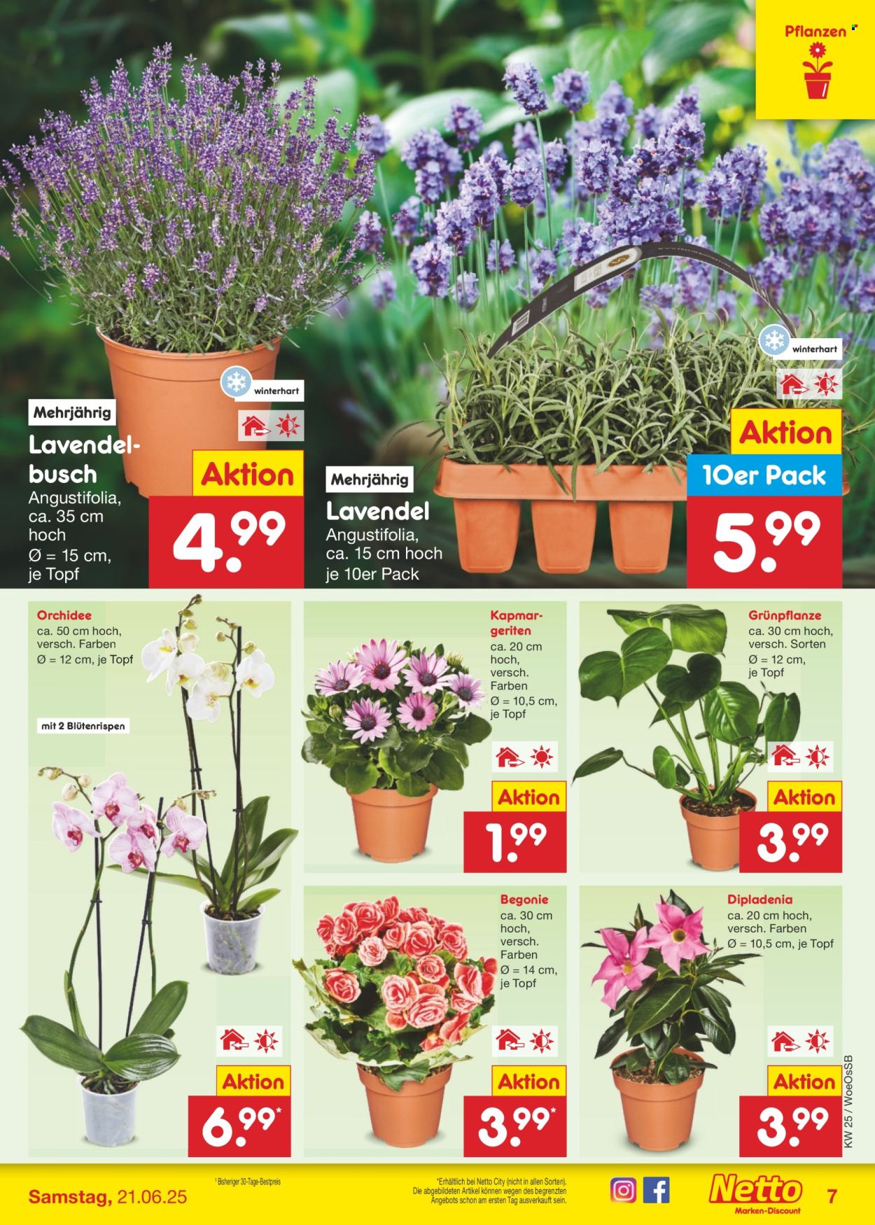 Netto Marken-Discount Prospekte  - 16.06.2025 - 21.06.2025. Seite 7