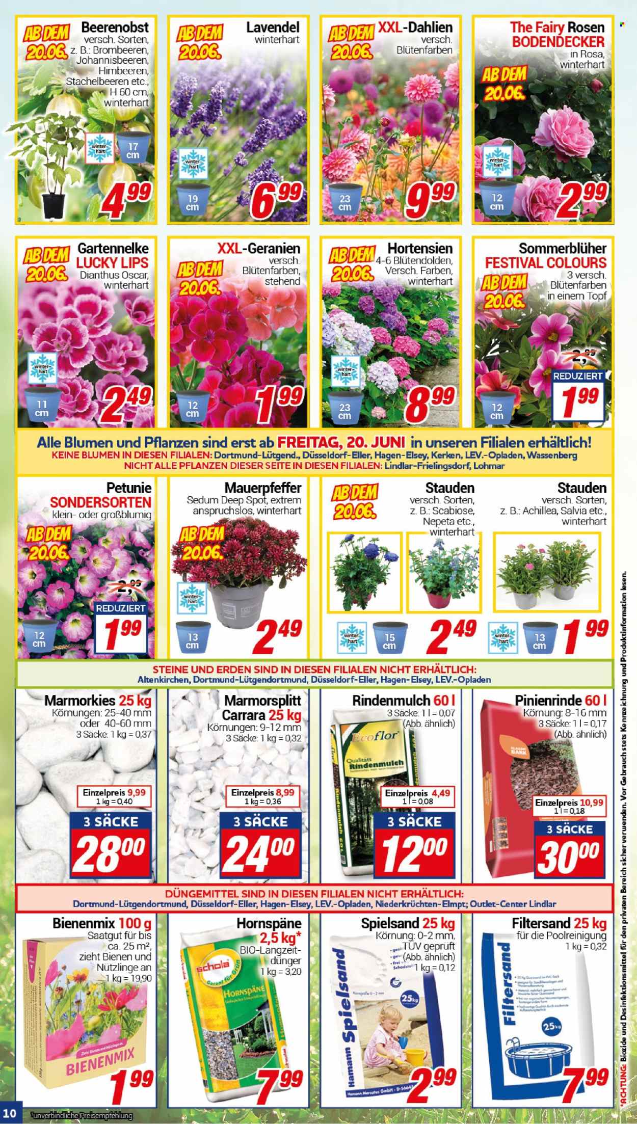 CENTERSHOP Prospekte  - 16.06.2025 - 21.06.2025. Seite 10