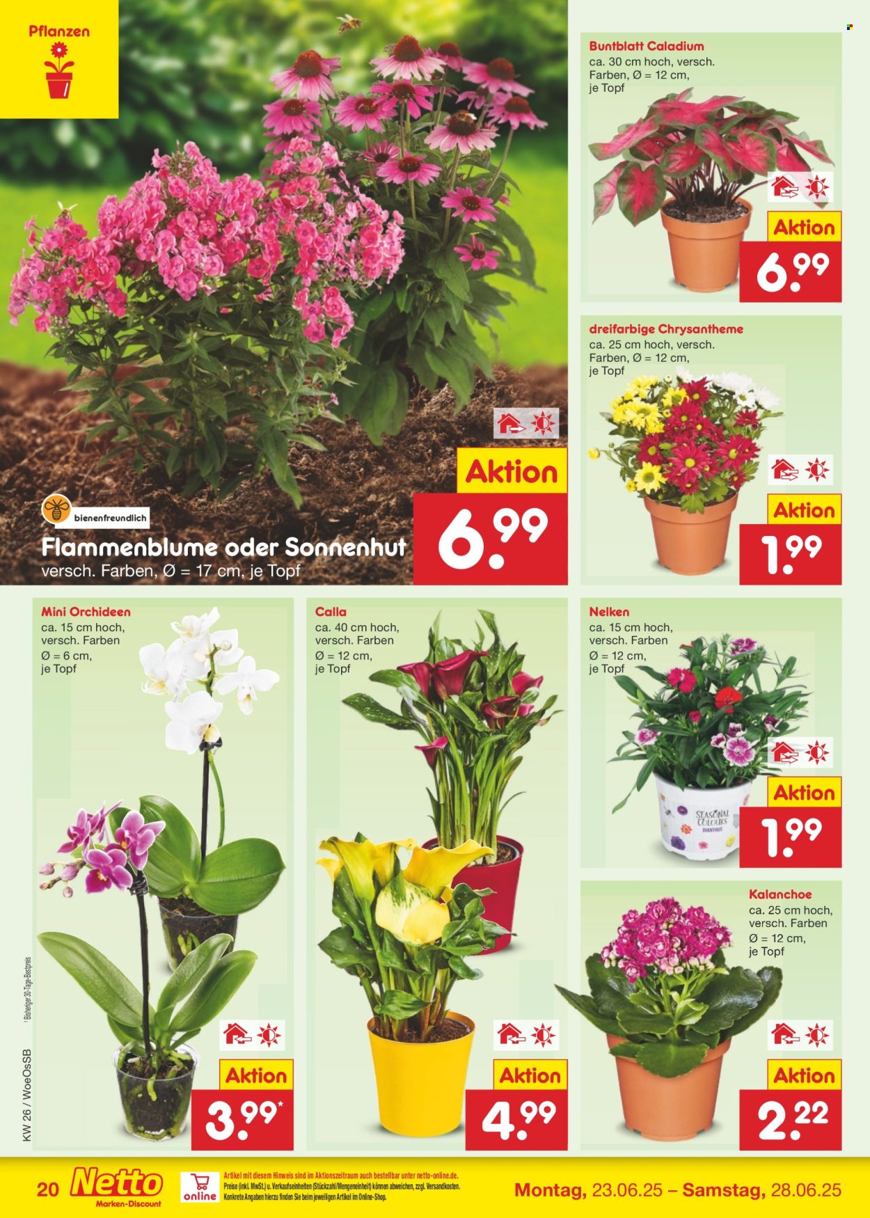 Netto Marken-Discount Prospekte  - 23.06.2025 - 28.06.2025. Seite 28