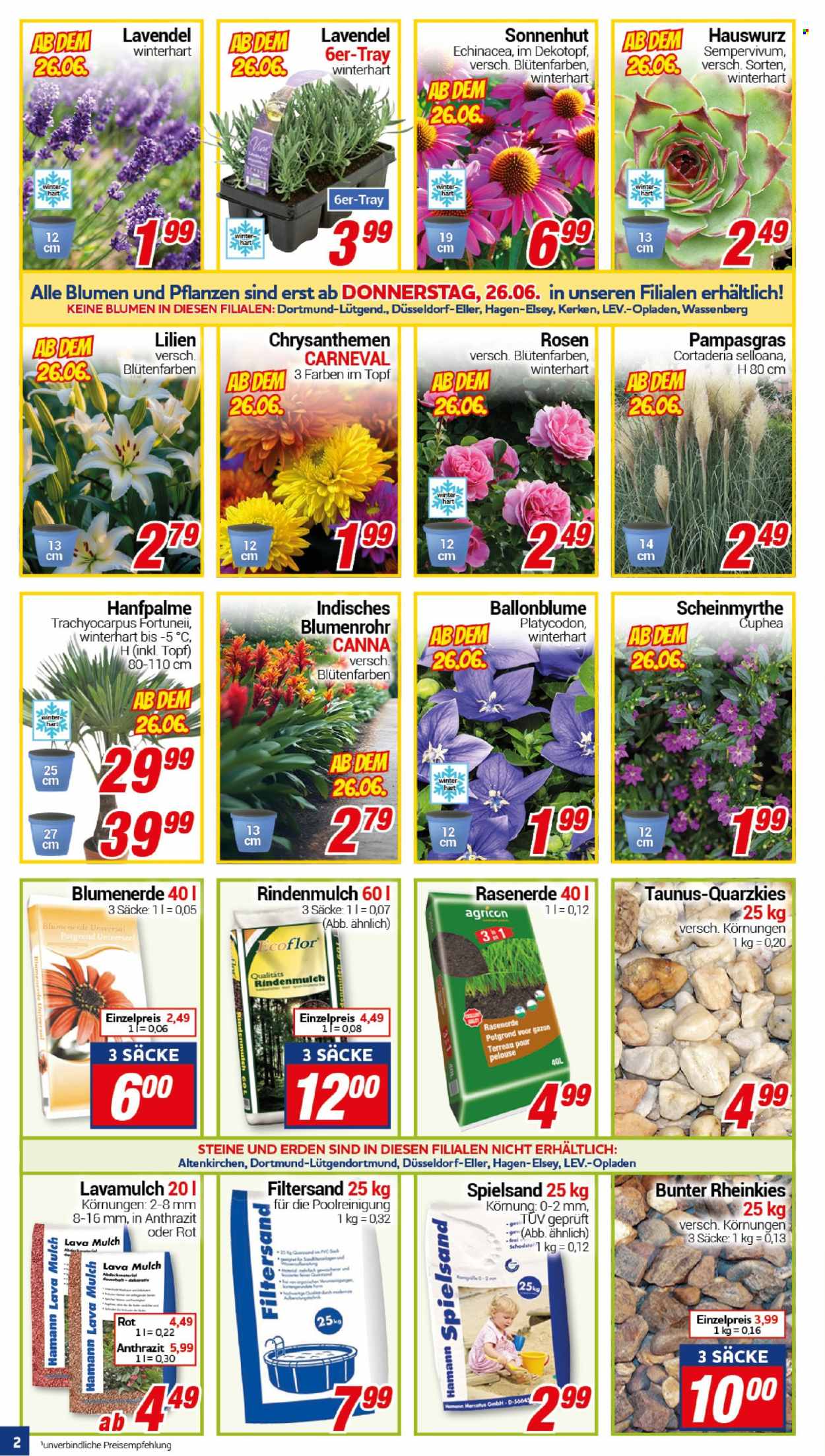 CENTERSHOP Prospekte  - 23.06.2025 - 28.06.2025. Seite 2