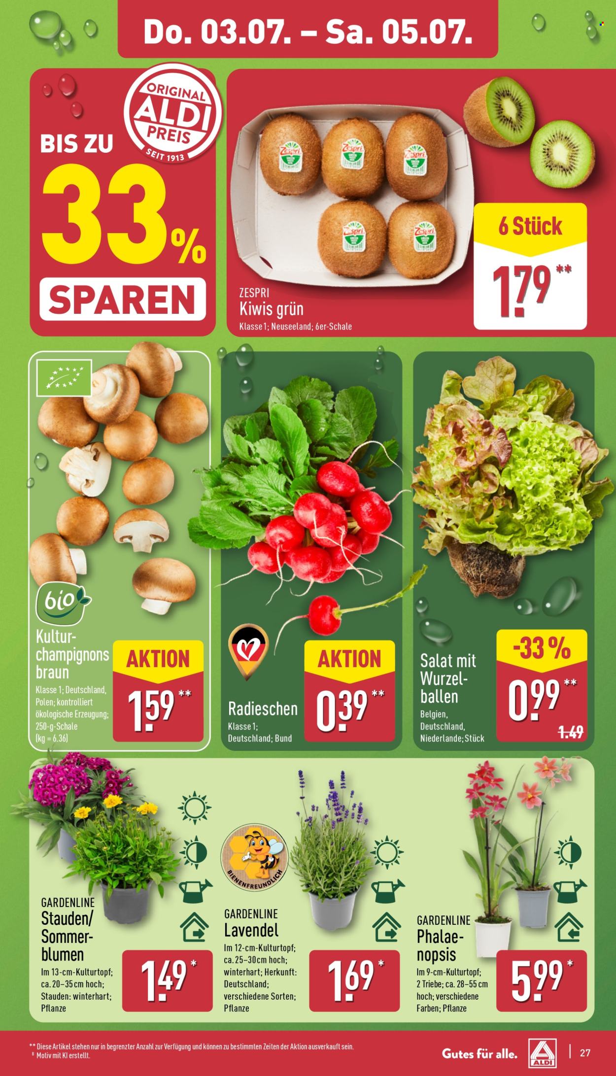 ALDI Nord Prospekte  - 30.06.2025 - 5.07.2025. Seite 27