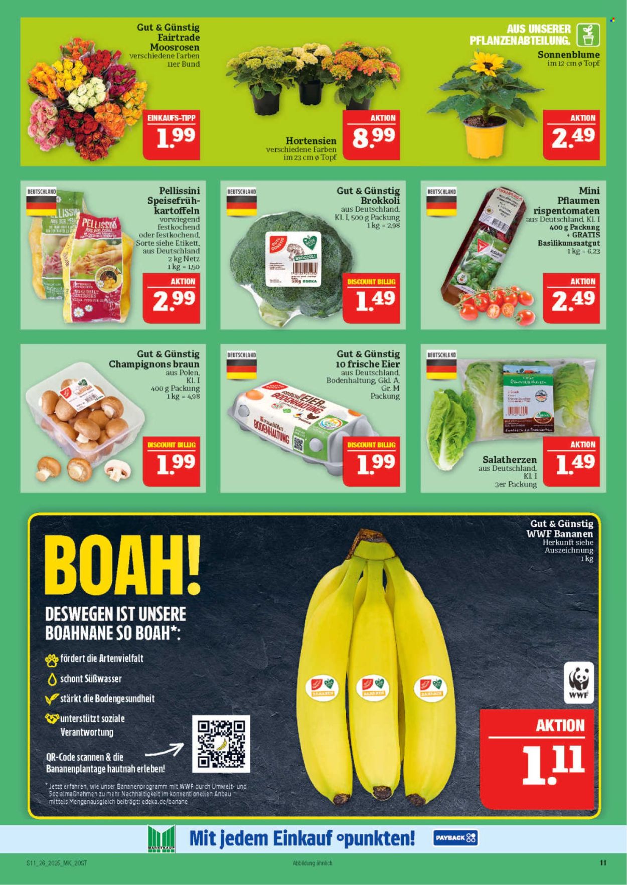 Marktkauf Prospekte  - 23.06.2025 - 28.06.2025. Seite 11