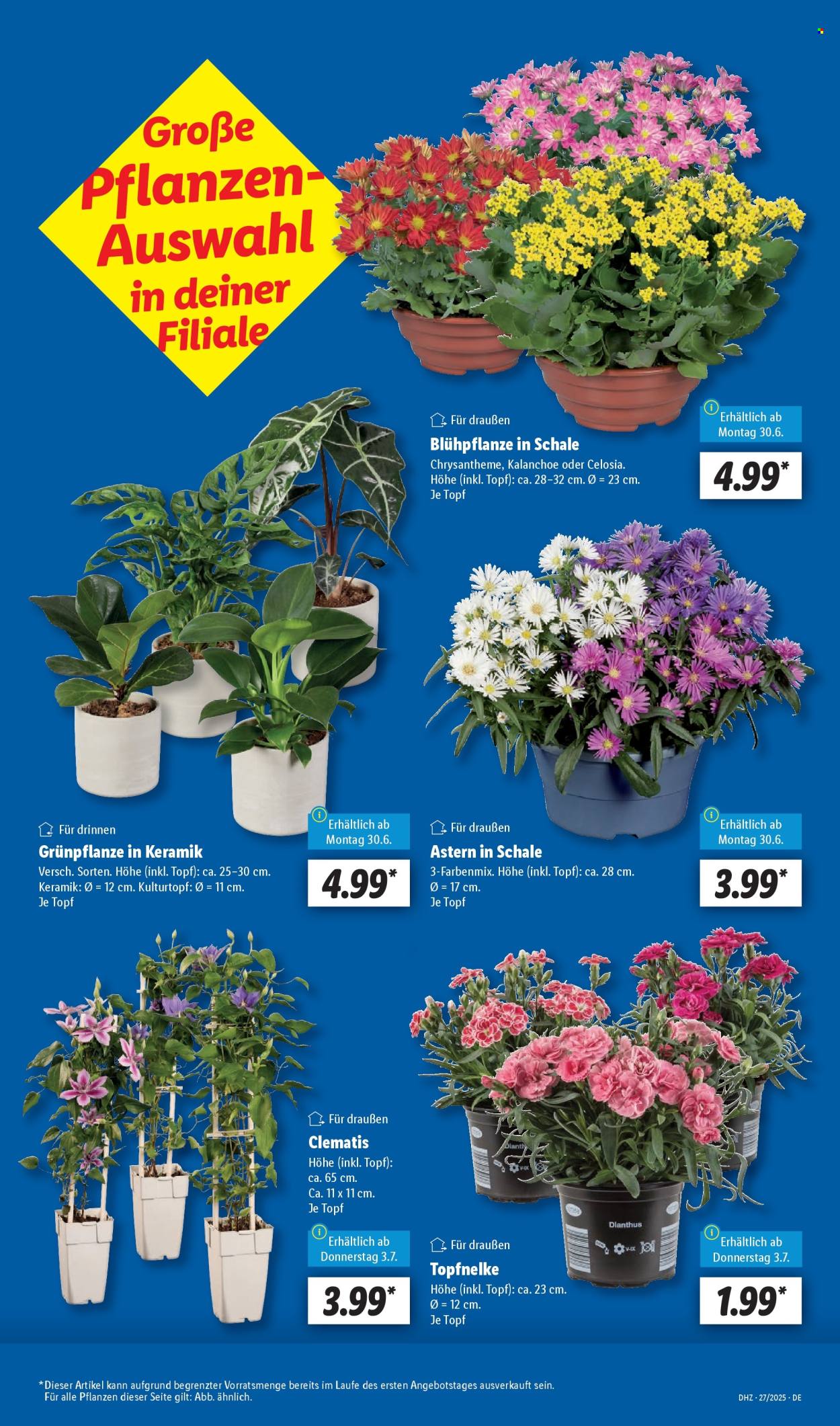 Lidl Prospekte  - 30.06.2025 - 5.07.2025. Seite 7
