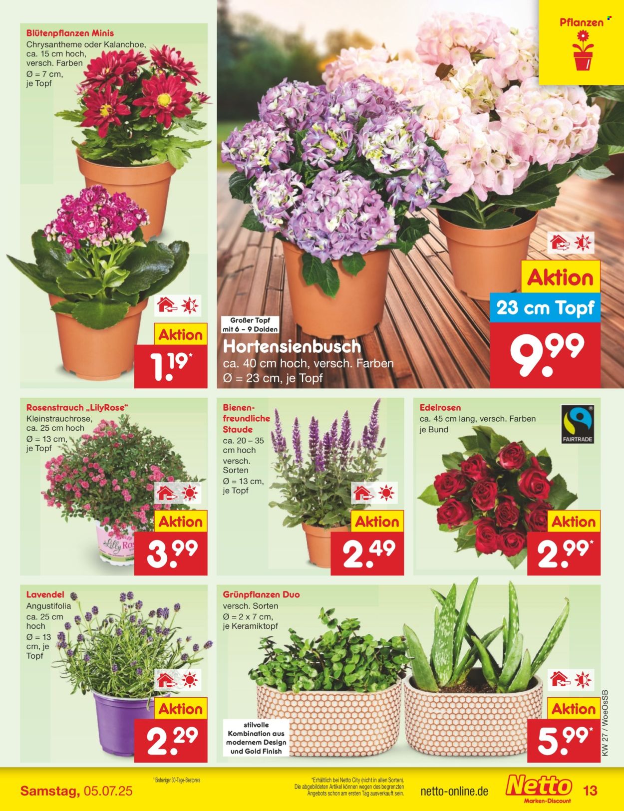 Netto Marken-Discount Prospekte  - 30.06.2025 - 5.07.2025. Seite 15