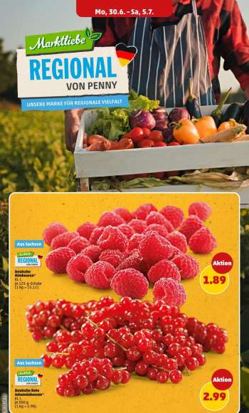 thumbnail - Deutsche Rote Johannisbeeren® Kl. I