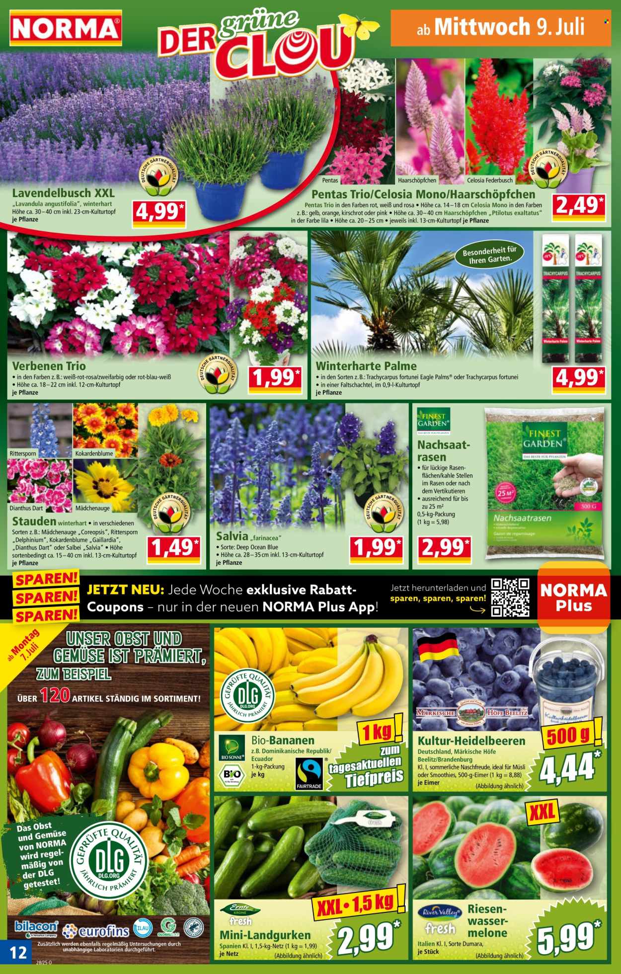 Norma Prospekte  - 7.07.2025 - 13.07.2025. Seite 13