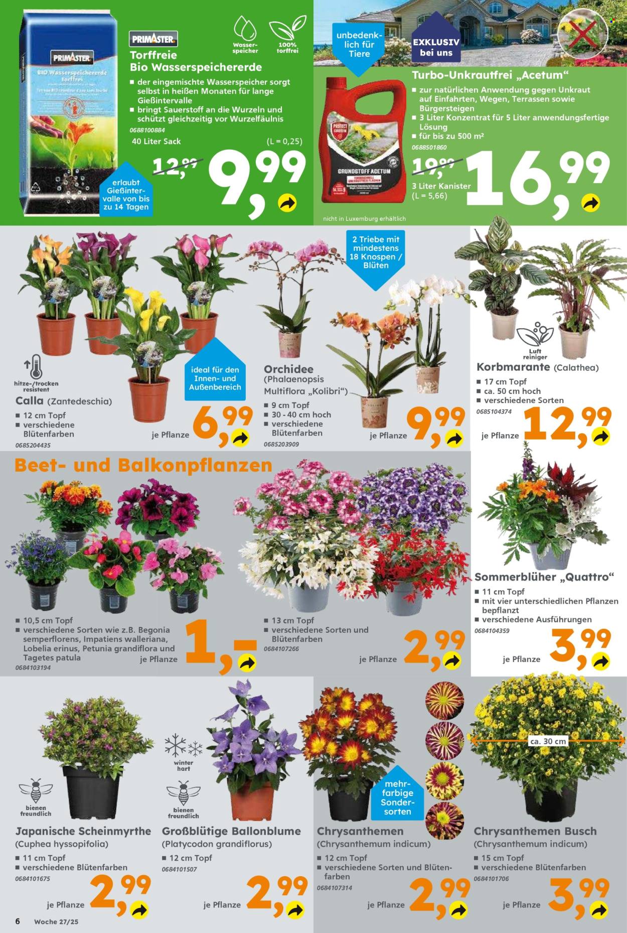 Globus Baumarkt Prospekte  - 29.06.2025 - 5.07.2025. Seite 6
