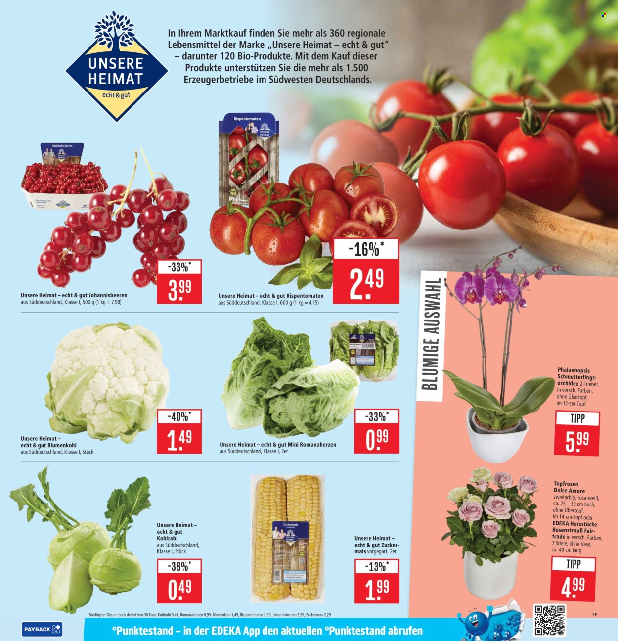 Marktkauf Prospekte  - 30.06.2025 - 5.07.2025. Seite 7