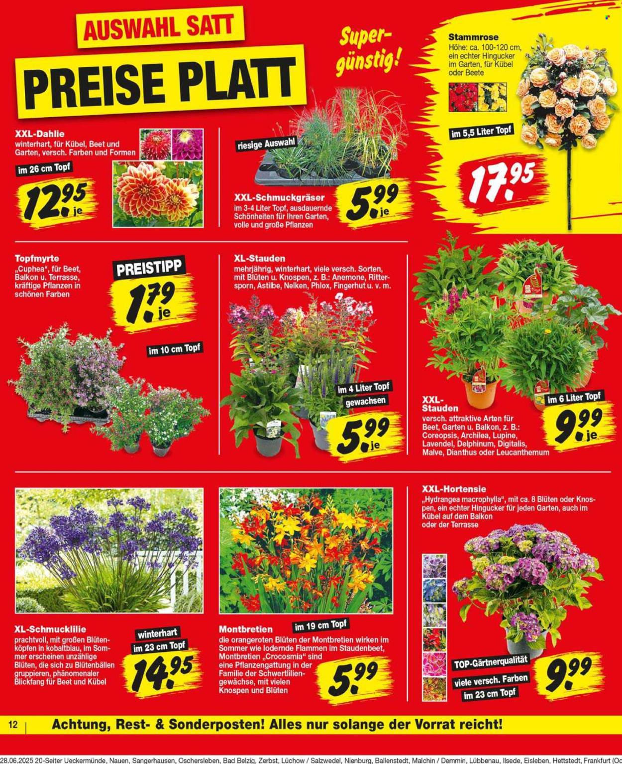 Repo Prospekte  - 30.06.2025 - 5.07.2025. Seite 12