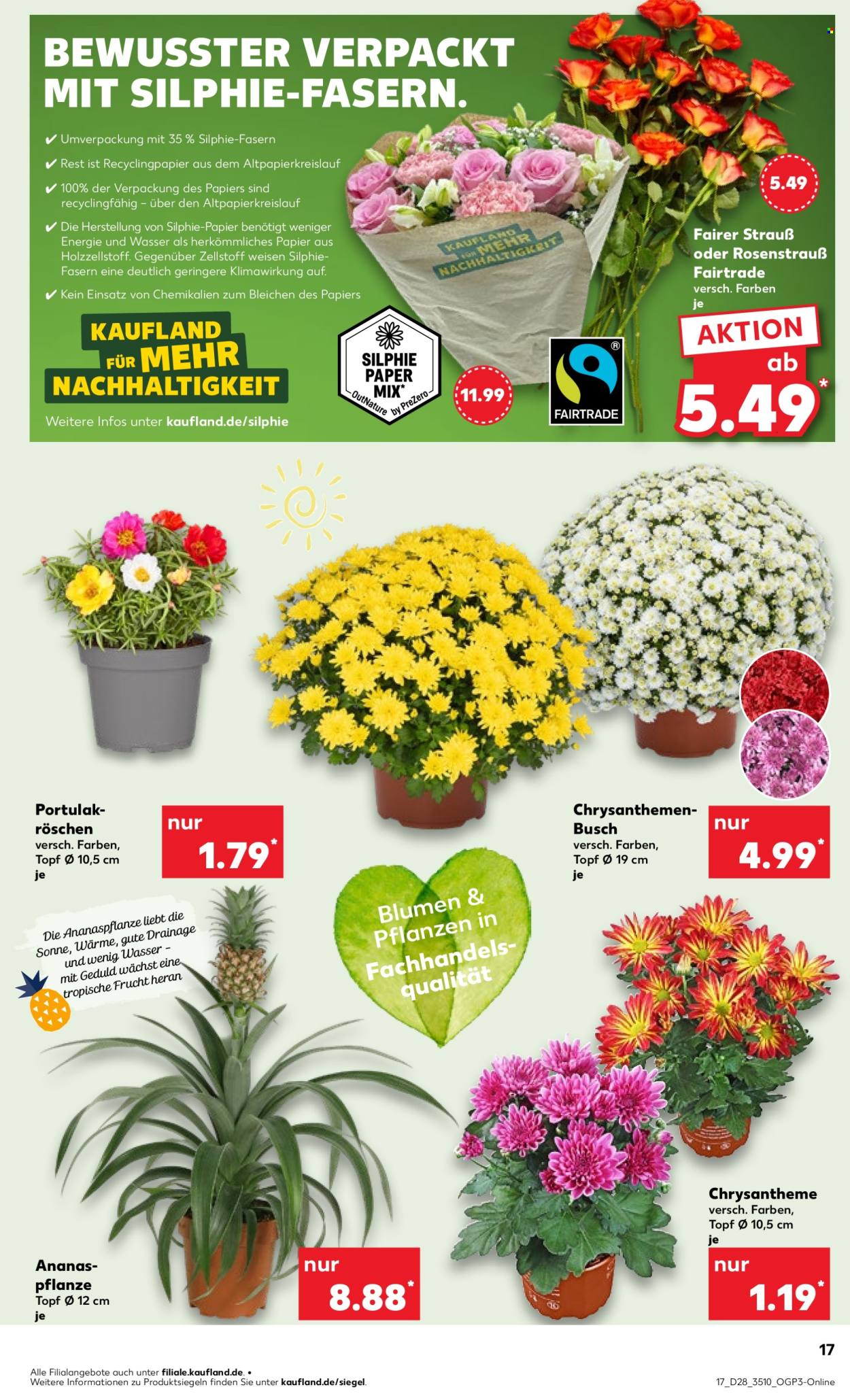 Kaufland Prospekte  - 10.07.2025 - 16.07.2025. Seite 17