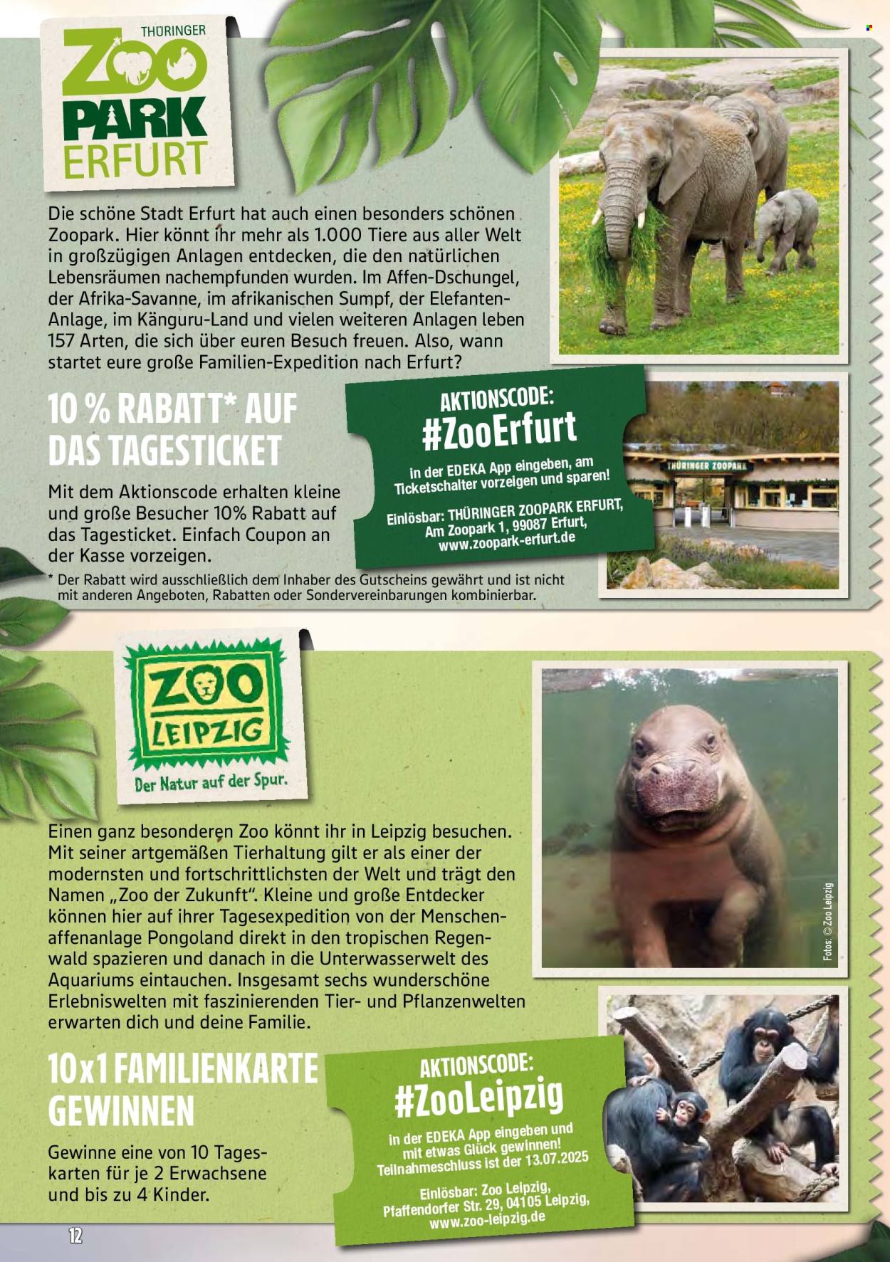 Marktkauf Prospekte  - 7.07.2025 - 12.07.2025. Seite 56
