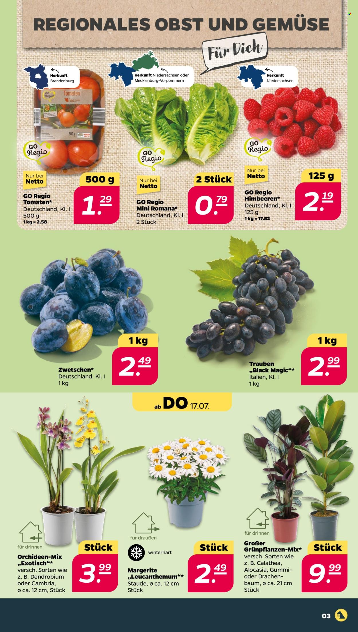 Netto Prospekte  - 14.07.2025 - 19.07.2025. Seite 3