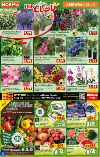 thumbnail - Veronika Hebe „All Blooms“